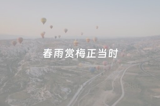 我来教大家“微乐捉鸡麻将小程序控牌器”（小程序控牌器)