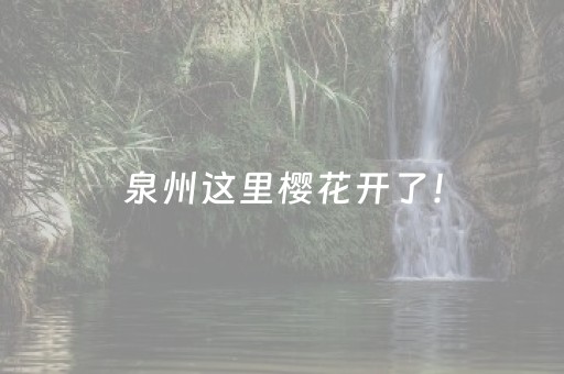 7分钟揭秘“微乐填大坑辅助器免费版”（免费专用神器)