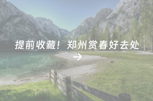 安装教程“微乐天津麻将输赢规律”（透明挂辅助器)