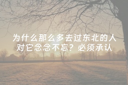 三分钟了解“微乐安徽麻将输赢规律”（规律确实有挂)