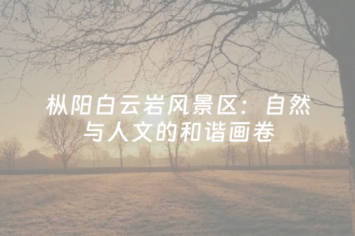 给大家科普一下“微乐湖南麻将怎么让系统给好牌”（插件可信吗)