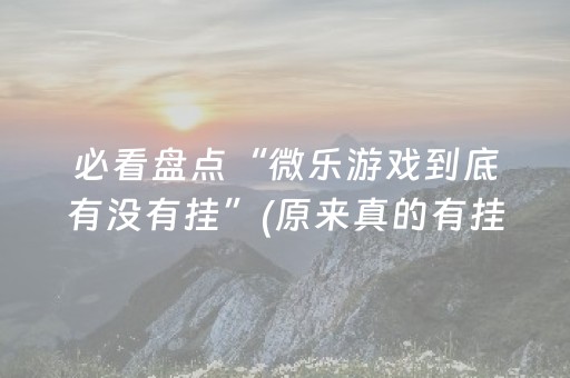 关于“微乐宁夏麻将插件”（为什么有人一直赢)