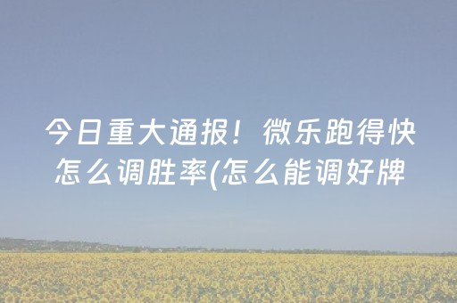 介绍十款“微乐陕西麻将怎么才能拿到好牌”（必赢神器免费安装)