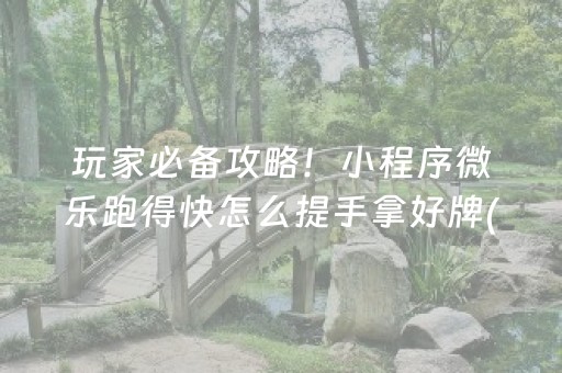 玩家必备攻略！小程序微乐跑得快怎么提手拿好牌(怎么才能赢得多)