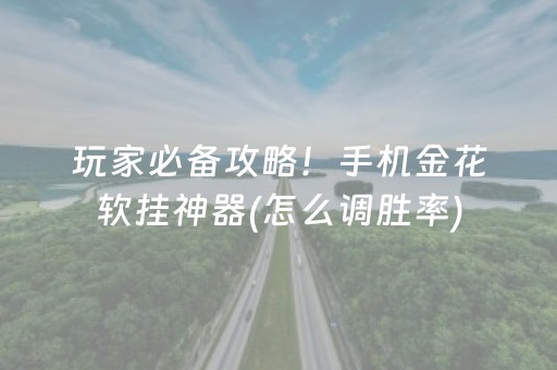 玩家必备攻略！手机金花软挂神器(怎么调胜率)