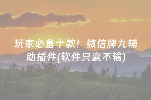 玩家必看“微乐挖坑辅助器通用版”（AI辅助胡牌规则)
