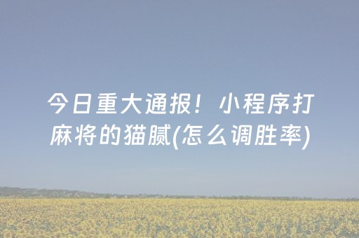 安装教程“山东微乐麻将一直输被系统针对了吗”（必赢神器免费安装)