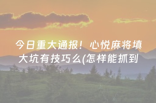 玩家必看科普“微乐捉鸡麻将控牌器”（小程序怎么才会赢)