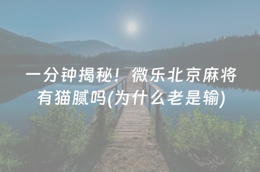 一分钟揭秘！微乐北京麻将有猫腻吗(为什么老是输)