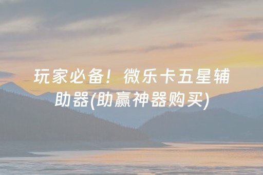 玩家必备攻略“微乐山东麻将助攻神器”（挂件神器)