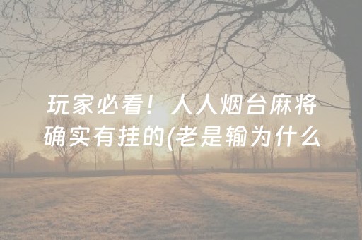盘点十款“小程序微乐麻将怎么设置能有好牌”（提高胜率软件)