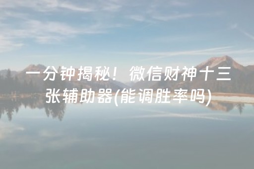 安装教程“微信小程序财神十三张怎样拿好牌”（辅助器插件)