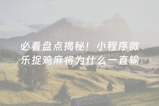 安装程序教程“微乐麻将挂件神器”（小程序辅助软件)