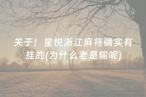 安装程序教程“雀神广东麻将挂的骗局”（开挂辅助器插件)