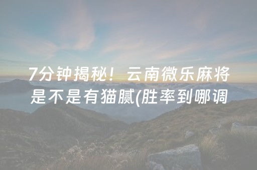 玩家必备“微信小程序麻将怎么打才能赢”（怎么能调好牌)