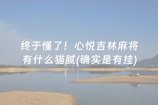终于懂了！心悦吉林麻将有什么猫腻(确实是有挂)