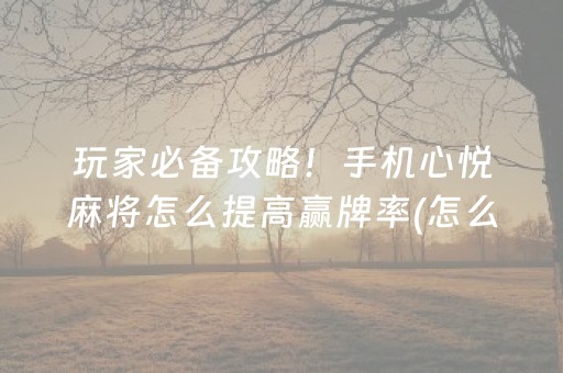 玩家必备攻略！手机心悦麻将怎么提高赢牌率(怎么打容易赢)