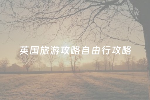 英国旅游攻略自由行攻略（英国旅游签证怎么办理）