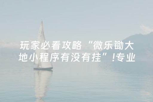 我来教大家“微乐河南麻将助赢神器”（究竟是不是有挂)