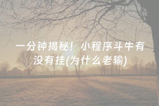 大神教教你“麻将app骗局大揭秘”（控牌神器)