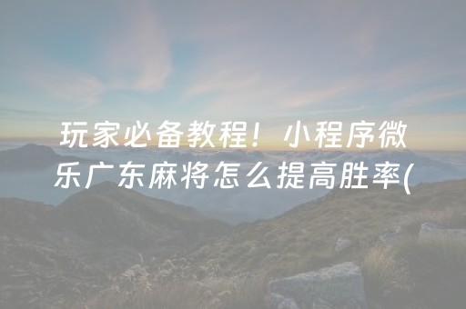 玩家必备教程！小程序微乐广东麻将怎么提高胜率(助手神器外辅工具)