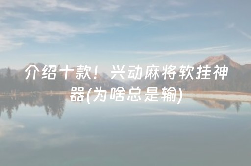 介绍十款！兴动麻将软挂神器(为啥总是输)