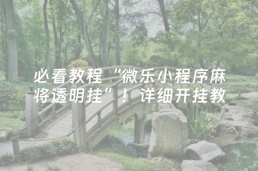 必看教程“微乐小程序麻将透明挂”！详细开挂教程（确实真的有挂)-抖音