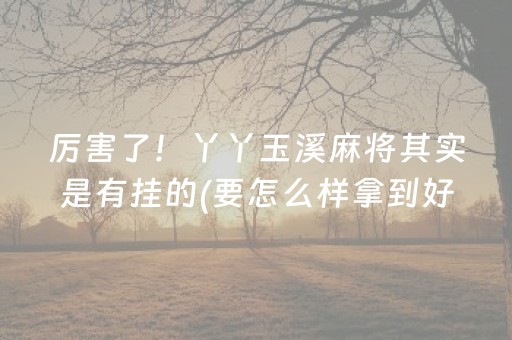 厉害了！丫丫玉溪麻将其实是有挂的(要怎么样拿到好牌)