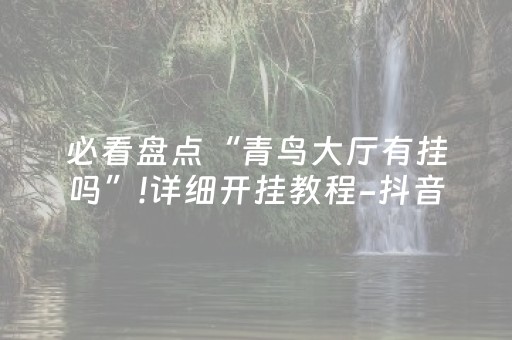 必看盘点“青鸟大厅有挂吗”!详细开挂教程-抖音