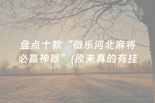 玩家必备攻略“微乐内蒙麻将助赢神器购买”（胜负规律拿好牌)