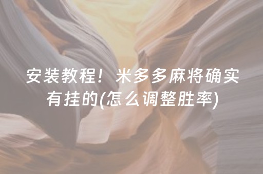 安装程序教程“微乐福建麻将提高胜率”（控牌神器)