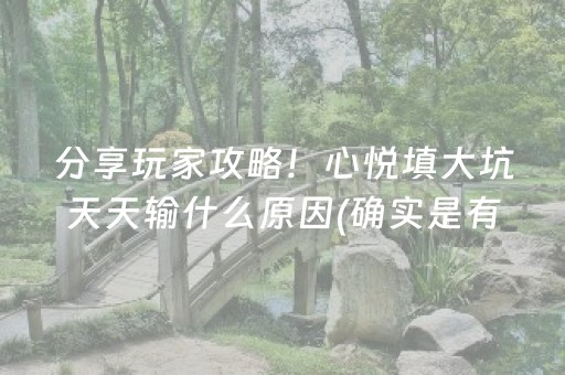 终于懂了“微乐挖坑辅助器通用版”（输赢有什么规律)