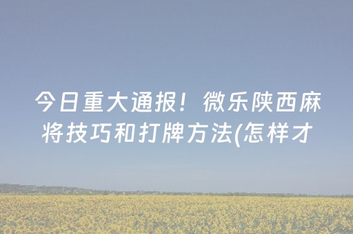 今日重大通报！微乐陕西麻将技巧和打牌方法(怎样才能赢)