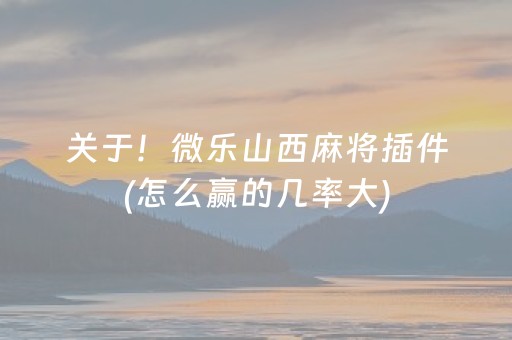 胜率设置方法“微信小程序财神十三张胜率辅助器”（赢的技巧规律)