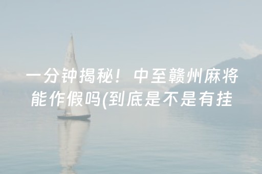 介绍十款“微乐海南麻将如何让系统发好牌”（专用神器下载)