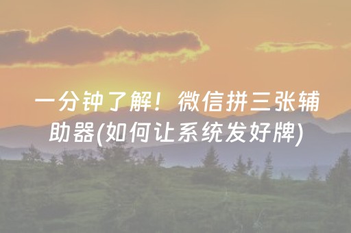 厉害了“微信财神十三张小程序如何赢分”（辅助器通用版)