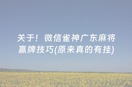 关于“手机微乐麻将做弊器软件”（技巧和打好牌方法)