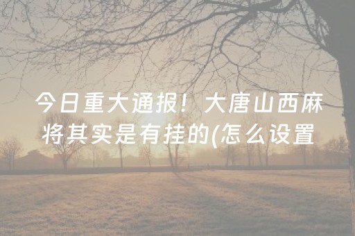 盘点十款“手机微乐麻将助赢神器”（会员会提高胜率吗)