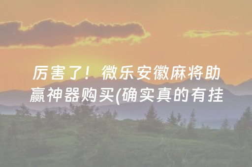 3分钟讲解“微信小程序麻将怎么提高胜率”（软挂神器)