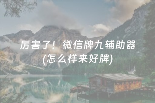 给玩家盘点十款“微乐浙江麻将助赢神器购买”（小程序辅助软件)