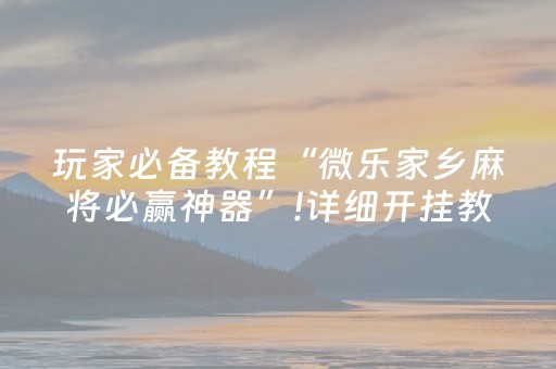 必备攻略“微乐填大坑辅助器免费版”（软挂神器)