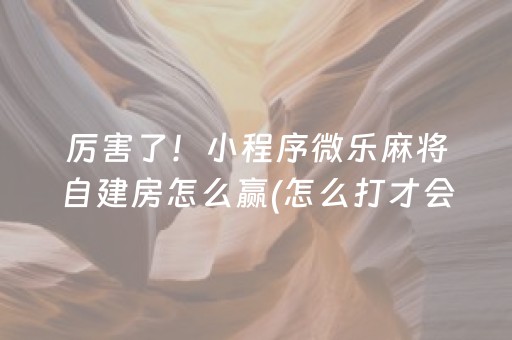 厉害了！小程序微乐麻将自建房怎么赢(怎么打才会赢)