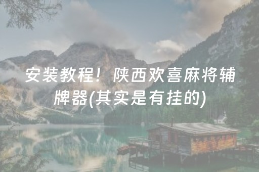 安装教程！陕西欢喜麻将辅牌器(其实是有挂的)