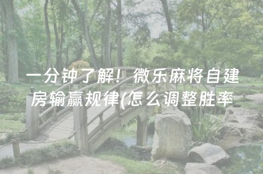 盘点十款“微乐辽宁麻将挂件神器”（赢的技巧规律)