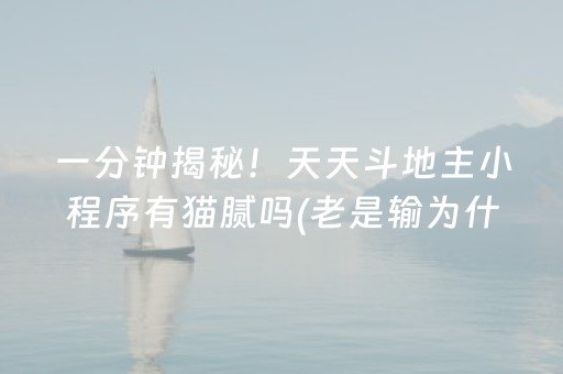 玩家必备十款“微乐四川麻将助赢神器”（提高胜率软件)