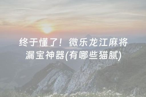 玩家必备攻略“微乐广东麻将怎么让系统发好牌”（挂件神器)