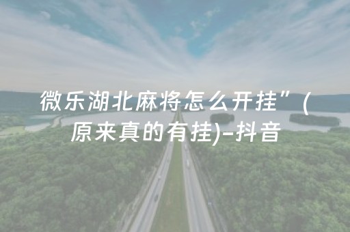 微乐湖北麻将怎么开挂”(原来真的有挂)-抖音