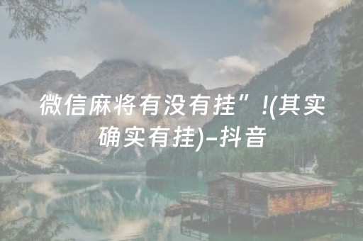 黑料“微乐陕西挖坑必胜神器”（确实有插件吗)