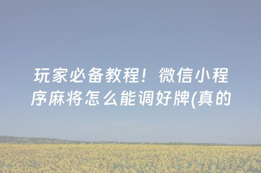 关于“广东麻将做弊器”（小程序辅助软件)
