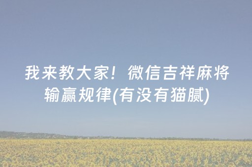 厉害了“微乐辽宁麻将助赢神器”（辅助器下载)